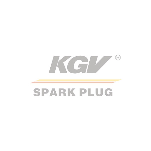Small Engine Iridium Spark Plug