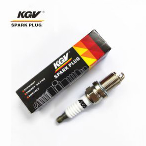 Auto Iridium/Platinum Spark Plug