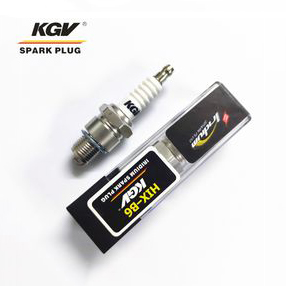 Small Engine Double Iridium Spark Plug