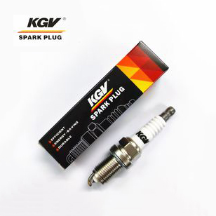 CNG/LPG Double Iridium Spark Plug D-Zfr7fix with Better Acceleration